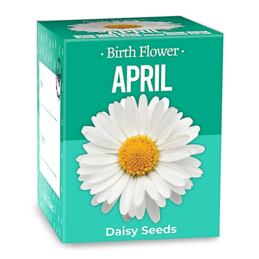 Gift Republic April Birth Flowers