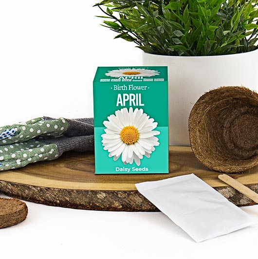 gift republic April Birth Flowers