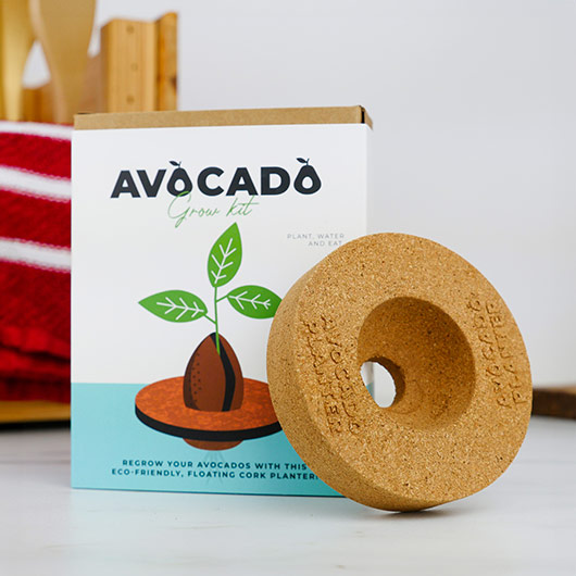 Gift Republic Avocado Grow Kit