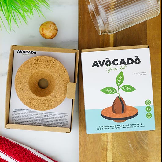 gift republic Avocado Grow Kit