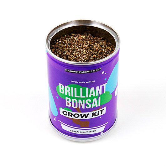 Gift Republic Bonsai Grow Tin