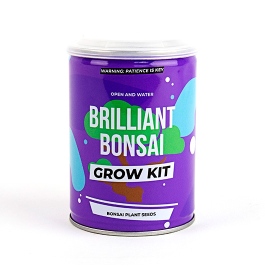 Gift Republic Bonsai Grow Tin