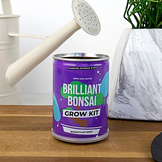 gift republic Bonsai Grow Tin
