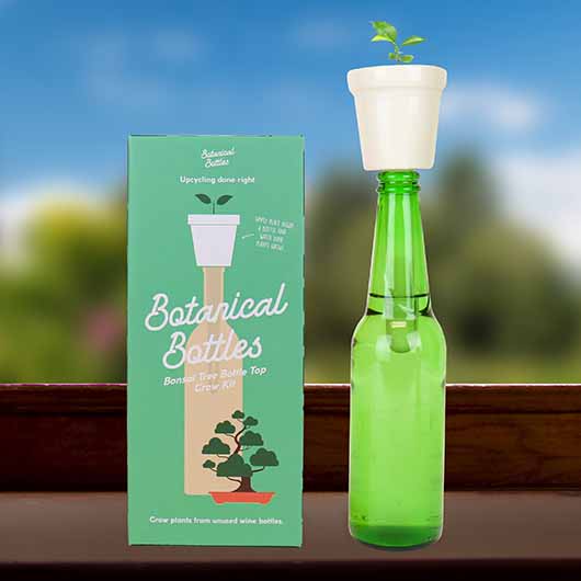gift republic Botanical Bottles - Bonsai