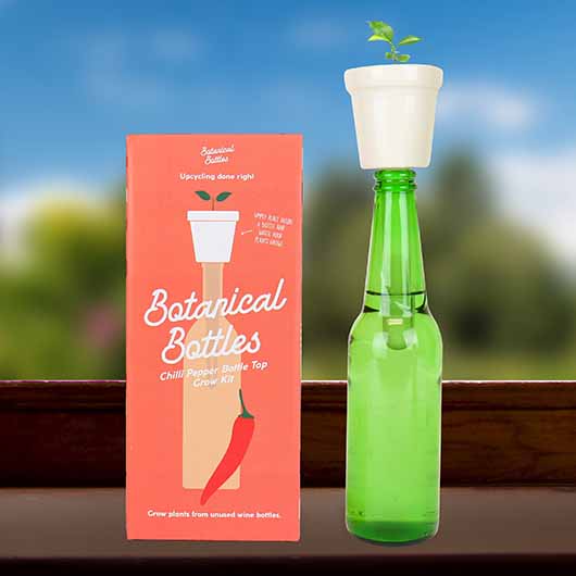 gift republic Botanical Bottles - Chilli