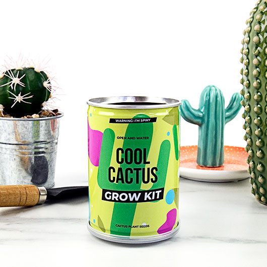 gift republic Cactus Grow Tin