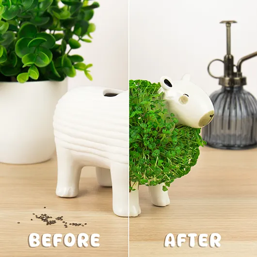 Gift Republic Capybara Chia Planter