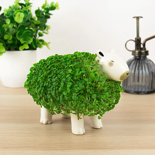 gift republic Capybara Chia Planter