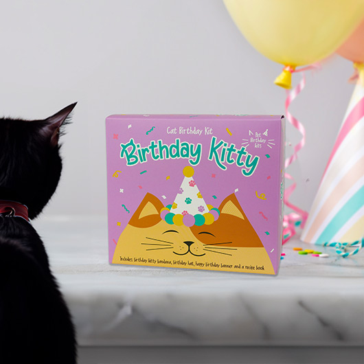 Gift Republic Cat Birthday Kit