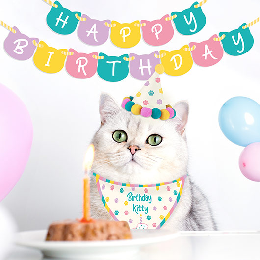 gift republic Cat Birthday Kit