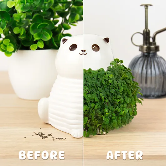 Gift Republic Cat Chia Planter UK