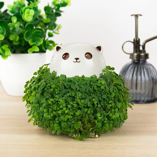 gift republic Cat Chia Planter UK