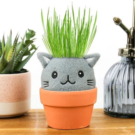Gift Republic Cat Grow Kit – Grow Pals