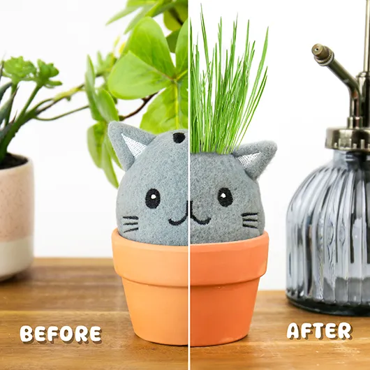 Gift Republic Cat Grow Kit – Grow Pals