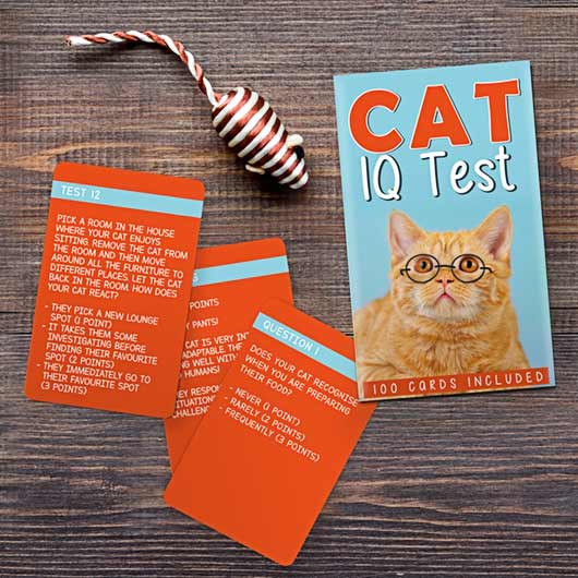 gift republic Cat IQ Test