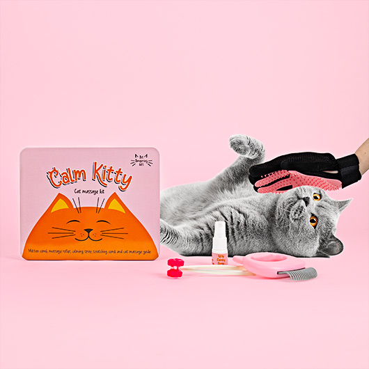 gift republic Cat Massage Kit