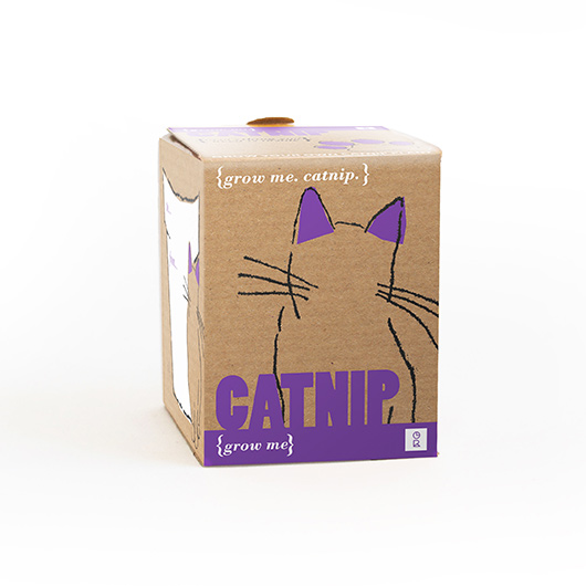 Gift Republic Catnip - Grow Me