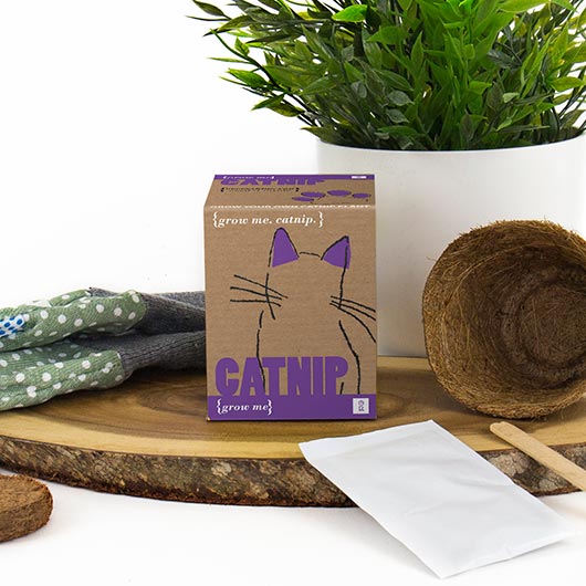 gift republic Catnip - Grow Me