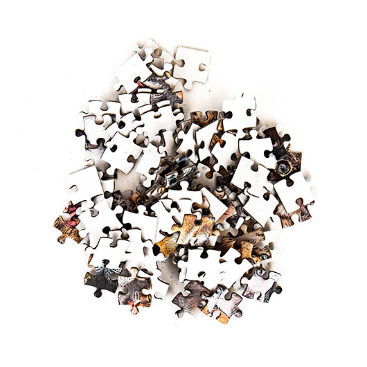 Gift Republic Cats Pocket Puzzle