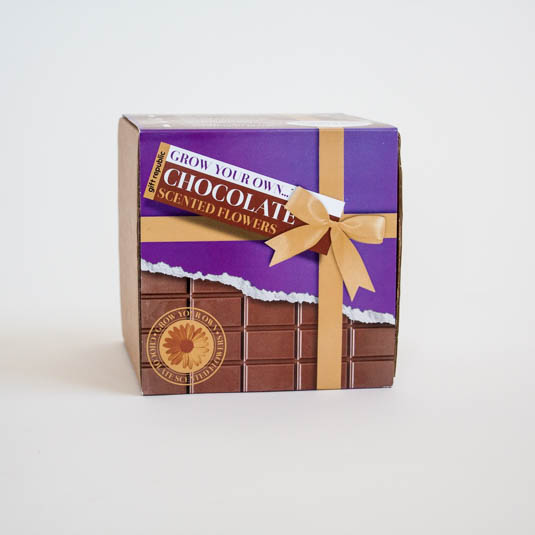 gift republic Chocolate Flowers