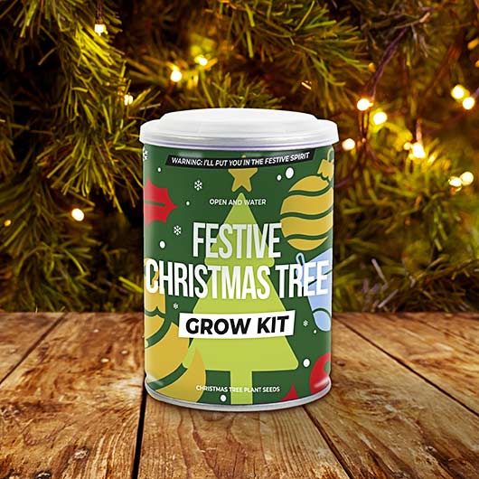 gift republic Christmas Grow Tin