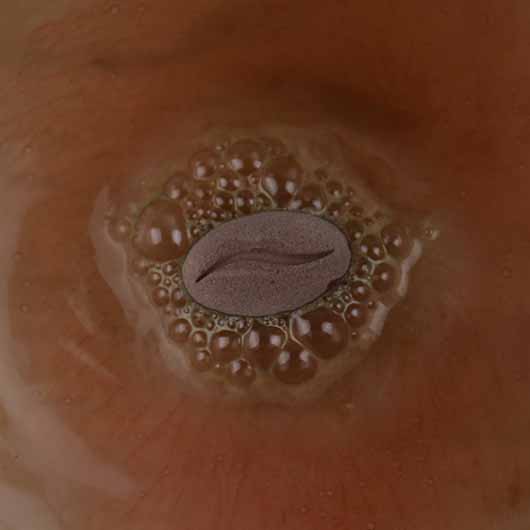 Gift Republic Coffee Bath Bombs