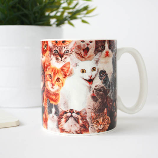 gift republic Crazy Cat Lady Mug