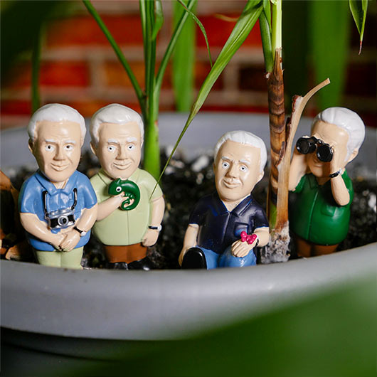 gift republic David Attenborough Plant Markers
