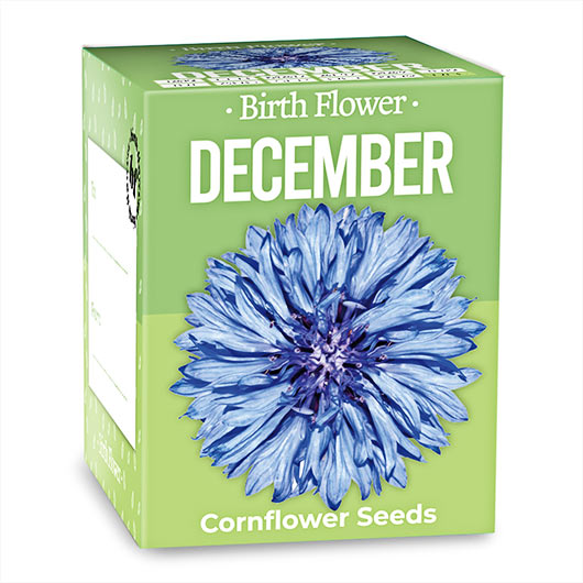 Gift Republic December Birth Flowers