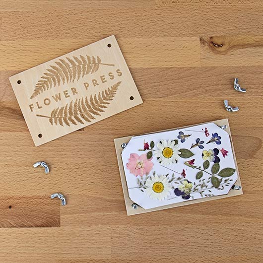 gift republic DIY Flower Press Kit