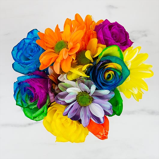 Gift Republic DIY Rainbow Flowers