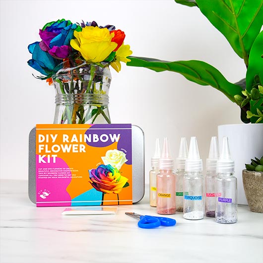 gift republic DIY Rainbow Flowers