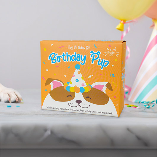 Gift Republic Dog Birthday Kit
