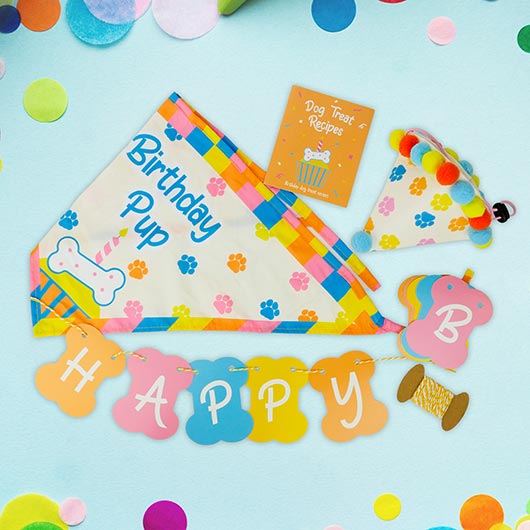 Gift Republic Dog Birthday Kit