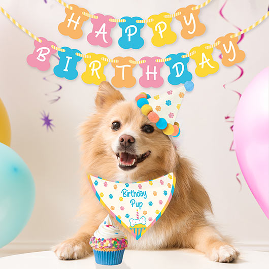gift republic Dog Birthday Kit