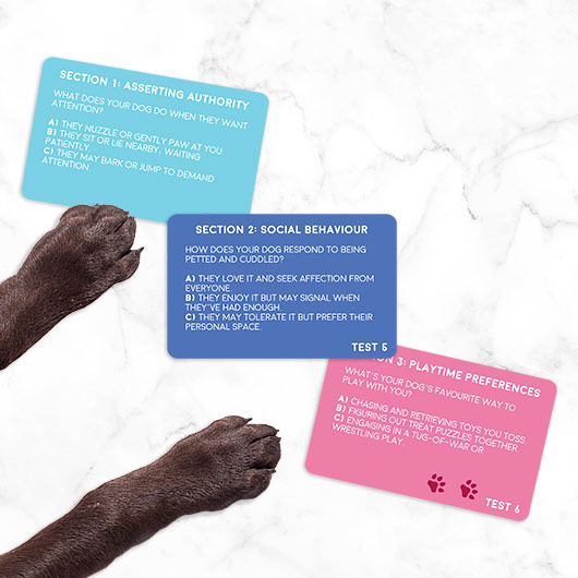 Gift Republic Dog Personality Test