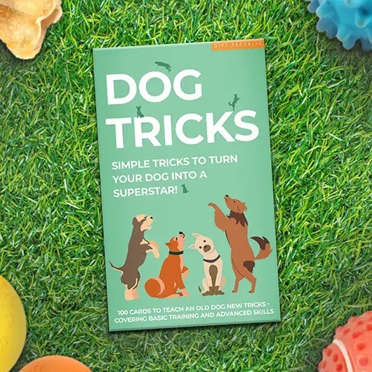 Gift Republic Dog Tricks Card Pack