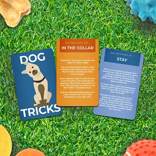 Gift Republic Dog Tricks Card Pack