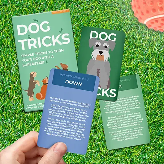 gift republic Dog Tricks Card Pack