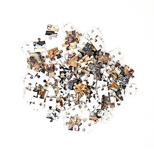 Gift Republic Dogs Pocket Puzzle
