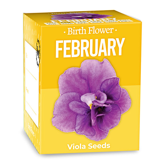 Gift Republic February Birth Flower