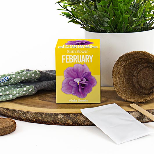gift republic February Birth Flower