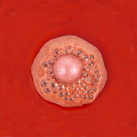 Gift Republic Festive Bath Bombs