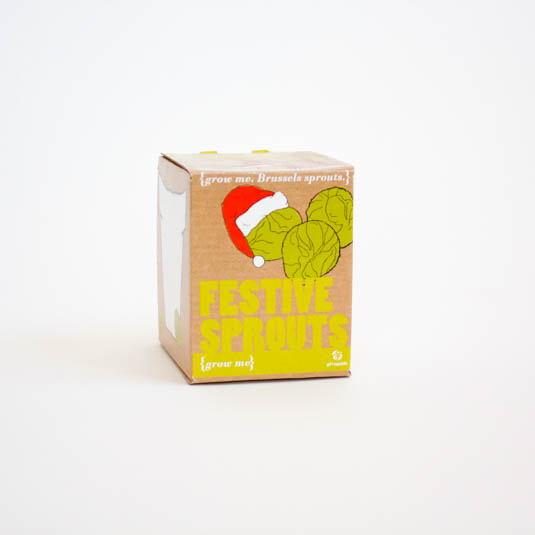 gift republic Festive Sprouts - Grow Me
