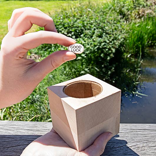 Gift Republic Good Luck Bean Grow