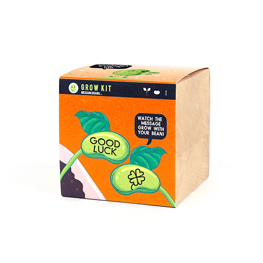 Gift Republic Good Luck Bean Grow