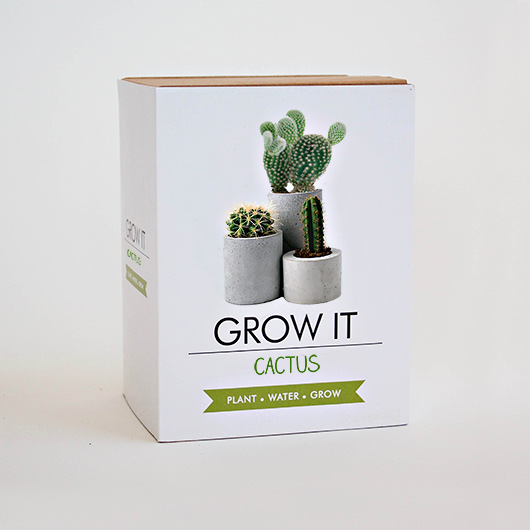 gift republic Grow Your Own Cactus - Grow Tin