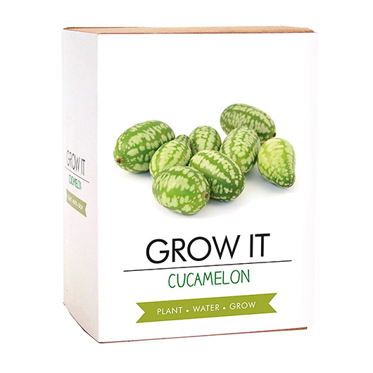Gift Republic Grow Your Own Cucamelon - Grow It