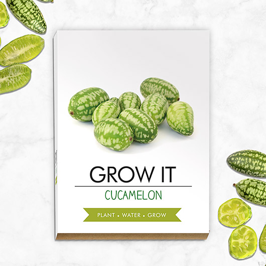 gift republic Grow Your Own Cucamelon - Grow It