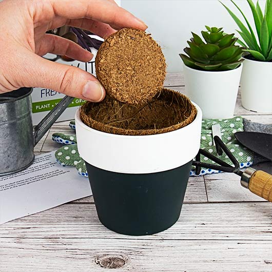 Gift Republic Grow Your Own Freaky Veg - Grow It